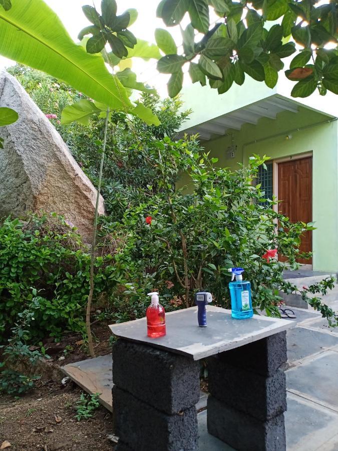 Gopi Plantation Homestay هامبي المظهر الخارجي الصورة