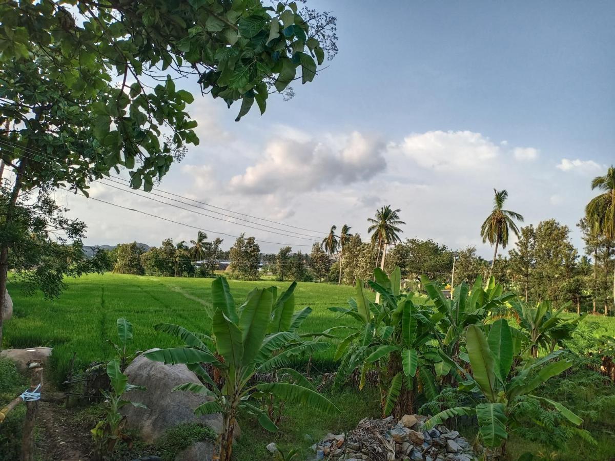 Gopi Plantation Homestay هامبي المظهر الخارجي الصورة
