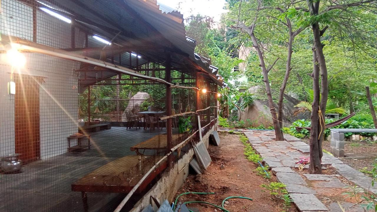 Gopi Plantation Homestay هامبي المظهر الخارجي الصورة