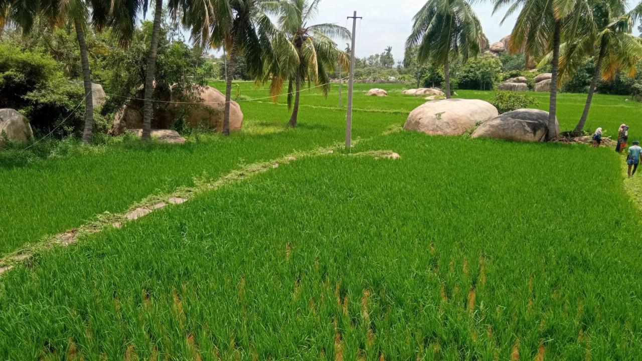Gopi Plantation Homestay هامبي المظهر الخارجي الصورة
