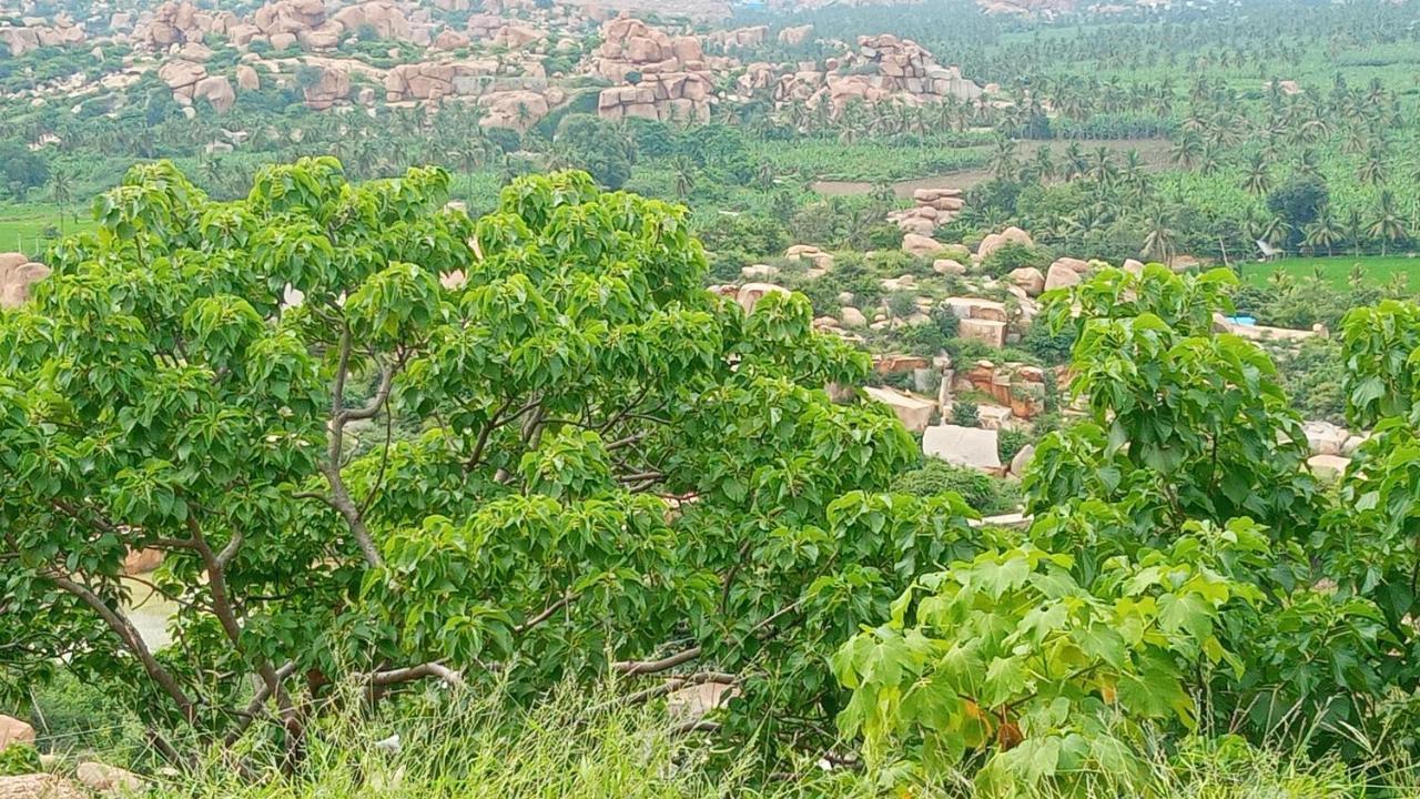 Gopi Plantation Homestay هامبي المظهر الخارجي الصورة