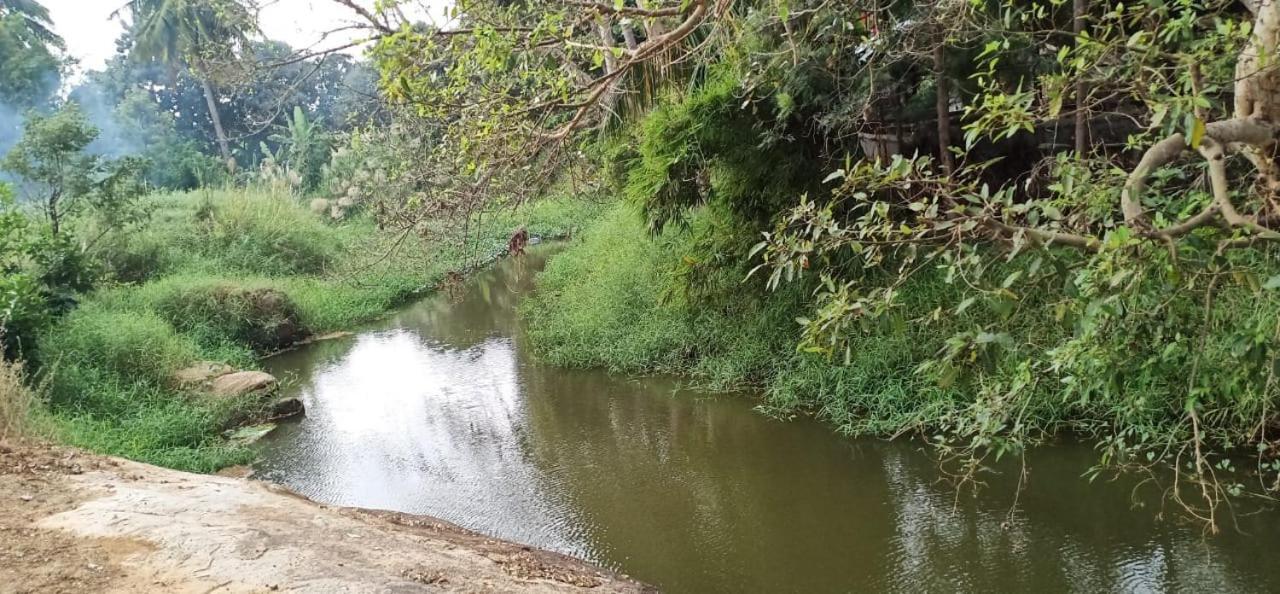 Gopi Plantation Homestay هامبي المظهر الخارجي الصورة