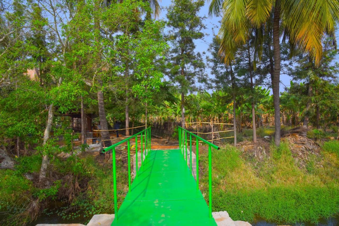 Gopi Plantation Homestay هامبي المظهر الخارجي الصورة